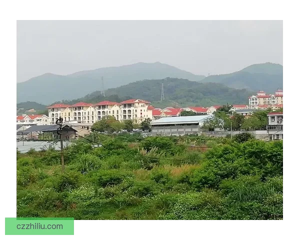 以定陶县一中为中轴构建高质量教育发展圈推动周边乡村资源共享